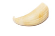 Sperm Whale Tooth isolated on a white background.