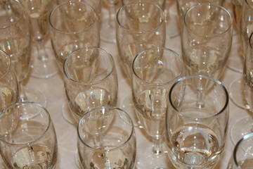 glasses of champagne many glasses