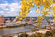 Pittsburgh City. Autumn Leaves.