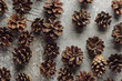 top view of dry spruce cones scattered on grey stone surface