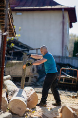 Wall Mural - Strong lumberjack carrying a big beech log to split