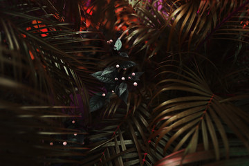 Fototapete - dark fantastic portrait of red palm leaves and flower