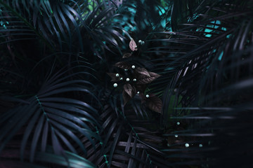 Fototapete - dark blue fantastic portrait of turquoise palm leaves and flower