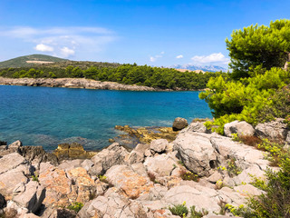 Bright sunny seascape with tree, rocky shore, Mediterranean Sea and sky.