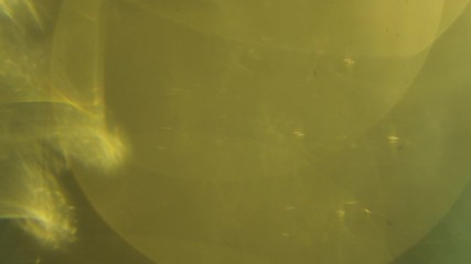 Wall Mural - capture of glows of warm lens flares over black background