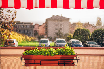 Bright and cozy balcony with potted green plants, raining outside