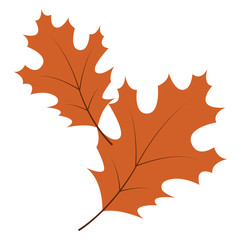 Sticker - Autumn leaves, illustration, vector on white background.