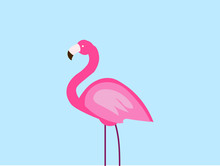 Flamingo Illustration Clipart Free Stock Photo - Public Domain Pictures