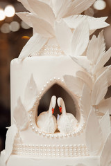 Wedding cake decorated with swans. White wedding cake with  beautiful swans on a white background. White wedding cake with white color feathers on restaurant background