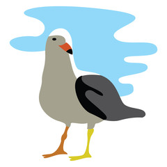 Wall Mural - Seagull, illustration, vector on white background.