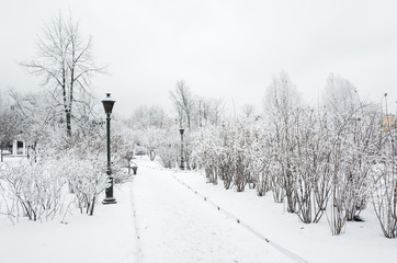 Wall Mural - An empty snowy walkway in park. Winter