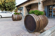 Wine barrels with flowers growing in them near the entrance to the Psagot winery in Samaria region in Benjamin district, Israel