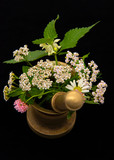 Fototapeta Storczyk - Medicinal herbs in a copper mortar with a pestle.