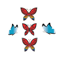 Wall Mural - color butterfly , isolated on white