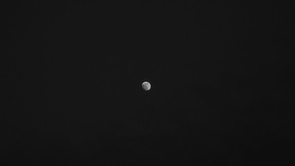 Moon