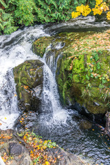 Tumwater Falls Park Sideways 2