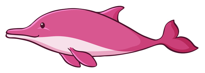 Wall Mural - pink dolphin on white background