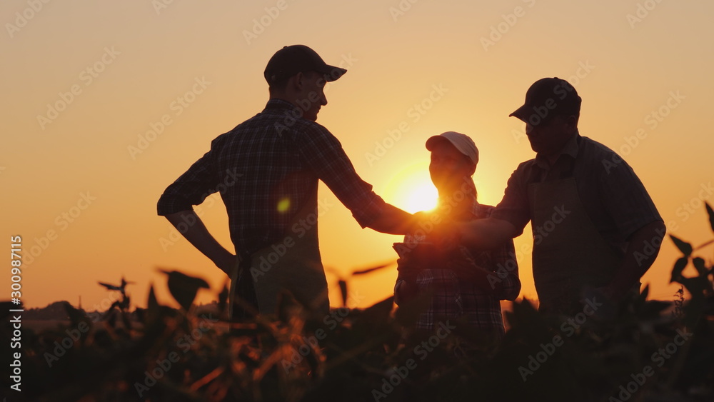 A group of farmers in the field, shaking hands. Family Agribusiness - obrazy, fototapety, plakaty 