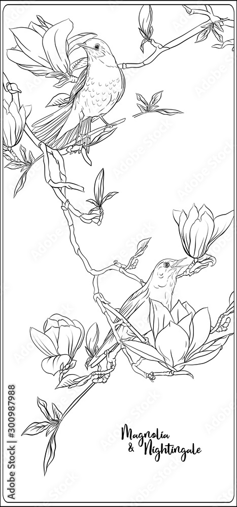 Magnolia tree branch with flowers and nightingale Coloring page for the ...