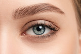 Young woman with beautiful eyebrows, closeup
