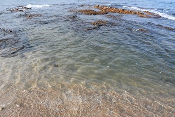 Wall Mural - waves on beach