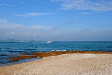 Wall Mural - beach and sea