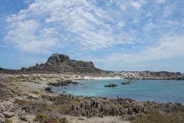 Isla Dama, national reserve, tourism in punta de choros, coquimbo region, chile