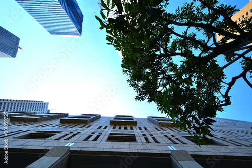 ビルと青空都会と青空快晴晴れstock Photo Adobe Stock ビルと青空都会と青空快晴晴れstock Photo Adobe Stock