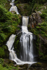  Cascade en forêt noire