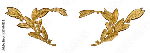 Cuadros en Lienzo Golden decorative element with floral pattern isolated on white background