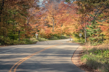 Empty curvy road in autumn forest, Wisconsin. Selective focus