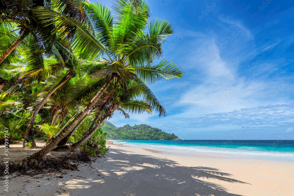 Sunny beach with coconut palms and tropical sea. Summer vacation and tropical beach concept. - obrazy, fototapety, plakaty 