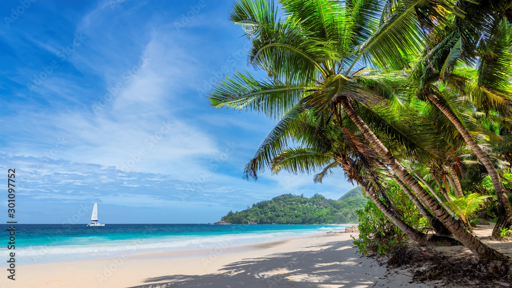 Tropical white sand beach with coconut palm trees and a sailing boat in turquoise sea on Seychelles tropical island. - obrazy, fototapety, plakaty 