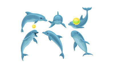 Wall Mural - Set Of Blue Dolphins Mading Tricks With Balls Vector Illustration