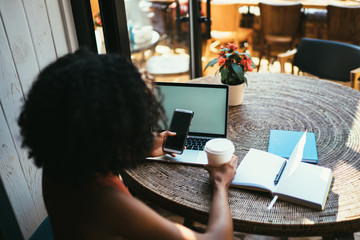 Wall Mural - Back view of millennial woman with takeaway cup in hand searching contact on cellular phone for dialing number during remote work indoors, female freelancer messaging via online application