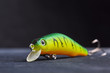 Fishing lure green used Wobbler closeup on black background. Hooks and background in blur.