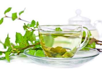 Wall Mural - Glass cup of green tea with tea pot and green natural birch branches isolated on a white background. 