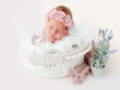 © tan4ikk - Sweet newborn in basket