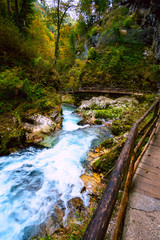 Poster - Vintgar Gorge near Bled, Slovenia