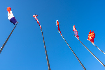 Wall Mural - flag