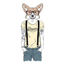 Humanized Welsh Corgi Breed Dog With Tattoo Dressed Up In Modern City Outfits. Design For Dogs Lovers. Fashion Anthropomorphic Doggy Illustration. Animal Wear T-shirt, Jeans, Glasses. Hand Drawn
