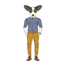 Humanized Welsh Corgi Breed Dog Dressed Up In Modern City Outfits. Design For Dogs Lovers. Fashion Anthropomorphic Doggy Illustration. Animal Wear Plaid Trousers, Shirt And Glasses. Hand Drawn Vector.