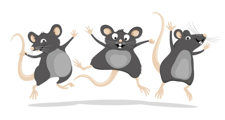 Sticker - Three funny gray rats in a jump on a white background.