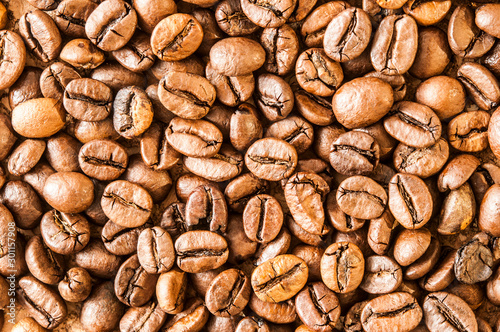 Fotomural roasted coffee beans, can be used as a background