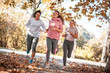 © BalanceFormCreative - Group of female friends jogging at the city park in the morning.Autumn season