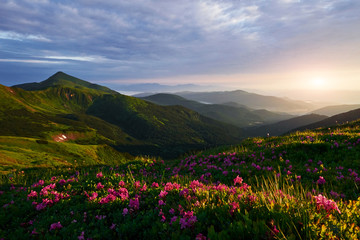 Canvas Print - Sun setting on the horizon. Majestic Carpathian mountains. Beautiful landscape. Breathtaking view