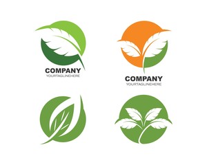 Wall Mural - Logos of green leaf ecology nature element vector