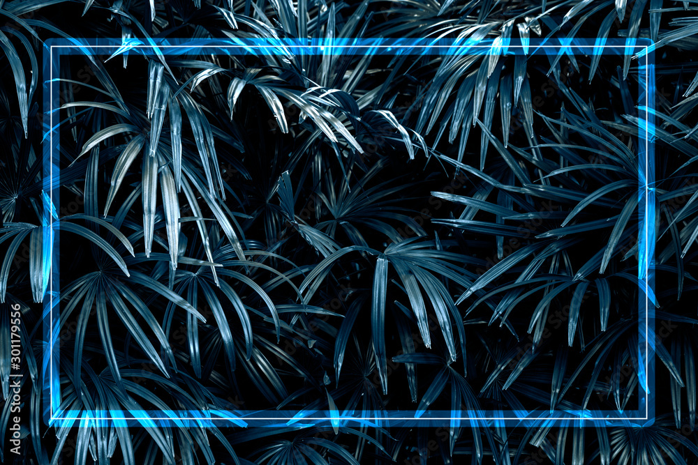 The leaves are full of small leaves, large leaves, dark green, with a light blue neon frame - obrazy, fototapety, plakaty 
