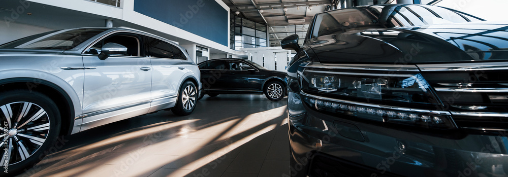 Brand new cars at dealer showroom. Perfectly polished. Natural lighting - obrazy, fototapety, plakaty 
