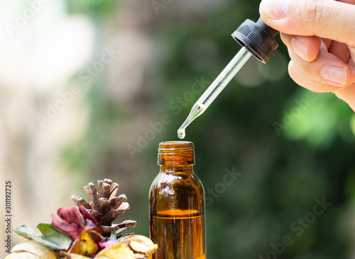 Cuadros en Lienzo The essential oil falling from glass dropper into organic bio alternative medicine, brown bottle